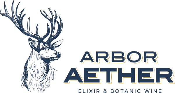 Entonnoir filtre inox - ARBOR AETHER