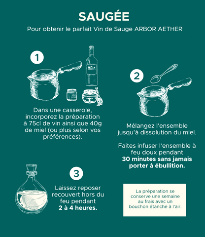 fiche recette vin de sauge